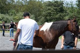 LR-WRF 08022025-Retreat-3204